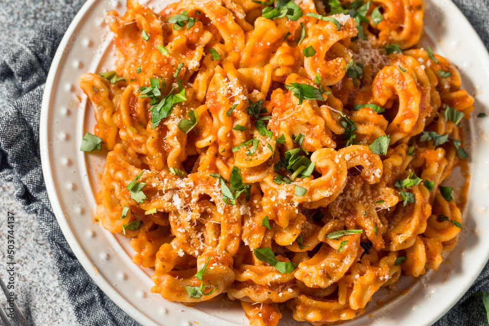 Homemade Italian Cascatelli Pasta with Tomato Sauce Homemade Italian Cascatelli Pasta with Tomato Sauce