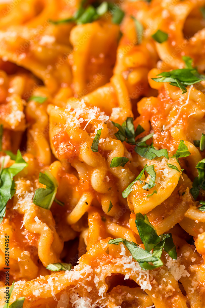 Homemade Italian Cascatelli Pasta with Tomato Sauce Homemade Italian Cascatelli Pasta with Tomato Sauce