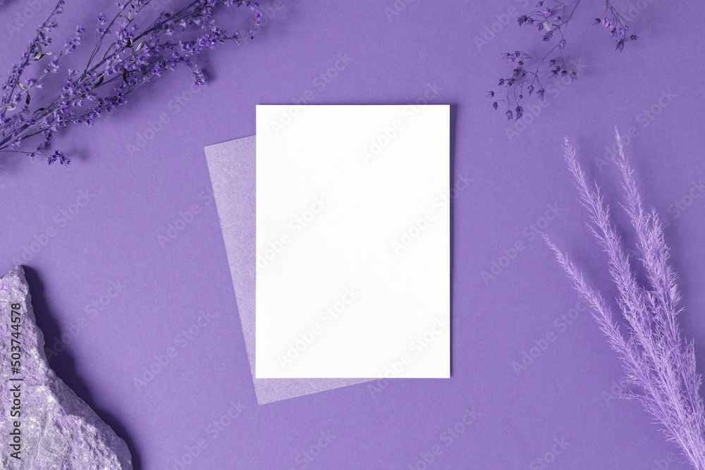 Blank greeting card, invitation mockup. Dry grass, pampas plant on violet table background. Flat lay, top view. Copyspace. Paper cards, mock up. Modern Minimal business brand template. Soft shadow, A6 Blank greeting card, invitation mockup. Dry grass, pampas plant on violet table background. Flat lay, top view. Copyspace. Paper cards, mock up. Modern Minimal business brand template. Soft shadow, A6