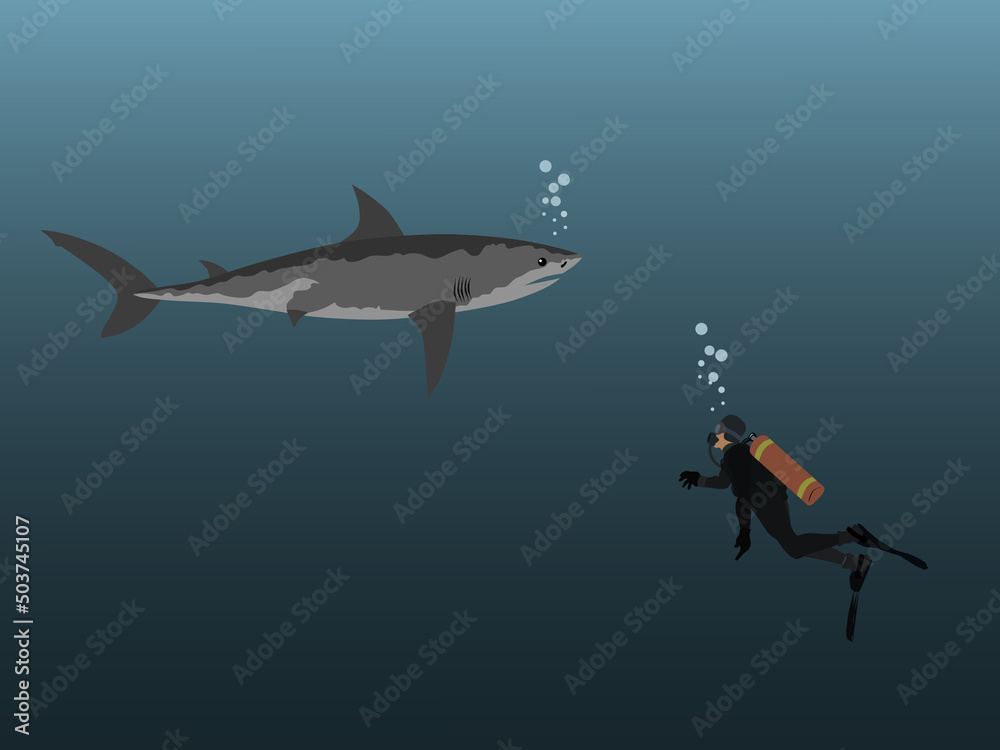Obraz premium A diver is encountering a shark under the sea.
