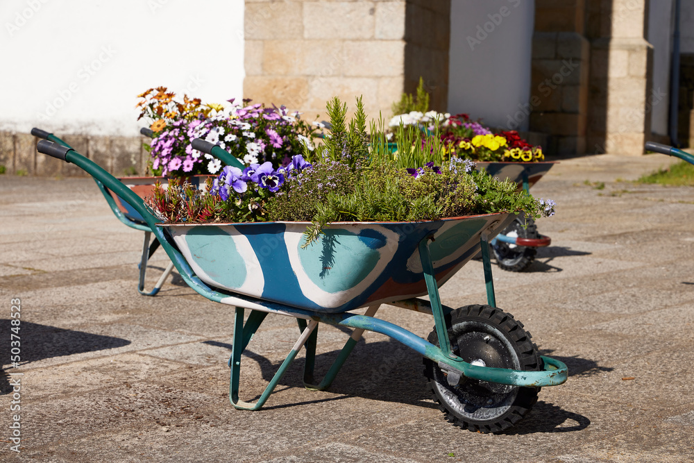 Colorful painted wheelbarrow with various types of flowers