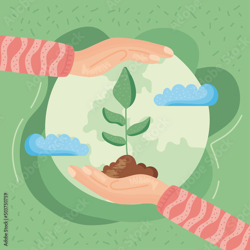 hands protecting plant