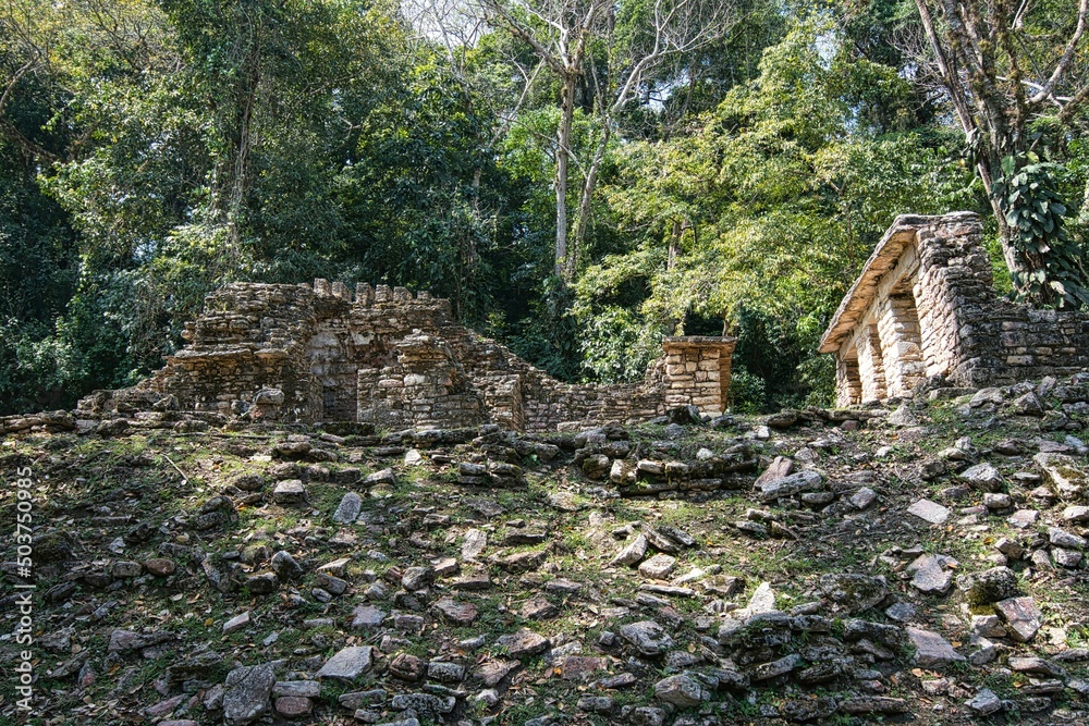 Archaeological Site of Yaxchilan is an ancient Maya city located on the bank of the Usumacinta River in the state of Chiapas, Mexico Archaeological Site of Yaxchilan is an ancient Maya city located on the bank of the Usumacinta River in the state of Chiapas, Mexico