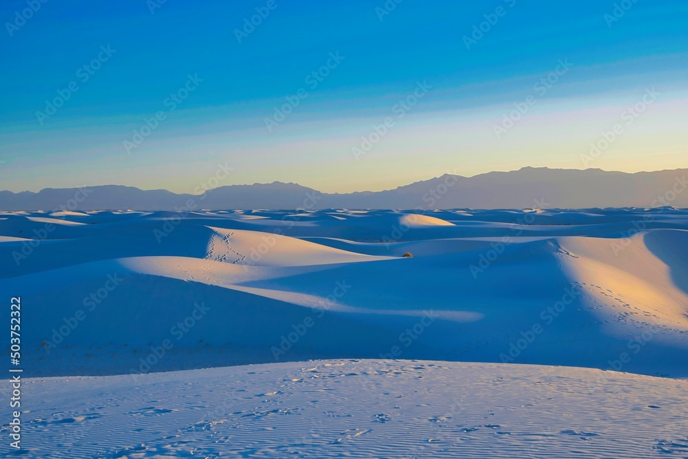 Obraz premium White Sand National Park is located in the state of New Mexico and completly surrounded by the White Sands Missle Range.
