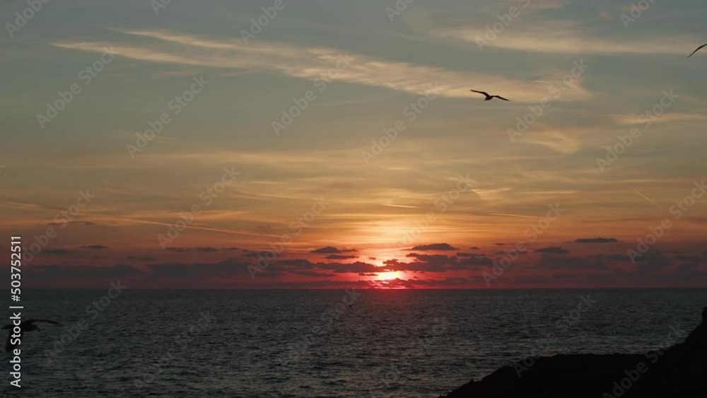 Silhouette Of Seagulls Flying At Sunset. - wide slow motion Silhouette Of Seagulls Flying At Sunset. - wide slow motion