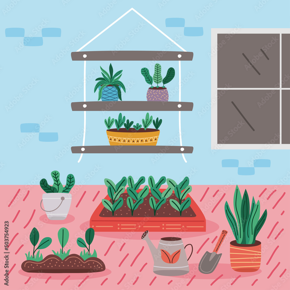 Fototapeta premium houseplants in shelves