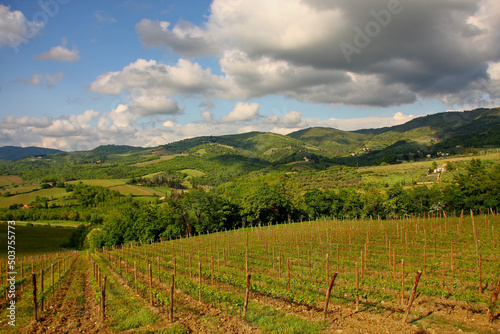 Chianti, vigneti e cipressi. Panorami delle colline Toscane. Italia