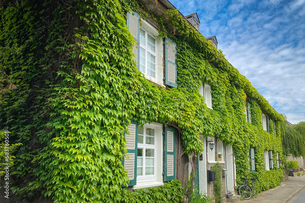 Beautiful overgrown vine leaf covered house in the district “Margarethenhöhe” in Essen, Germany.