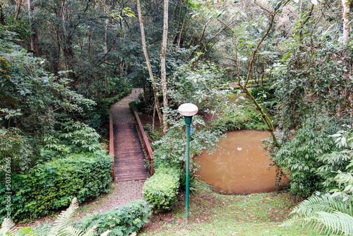 Bosque Alemao, or German Forest Park, in Curitiba, Brazil. trail walkway photo