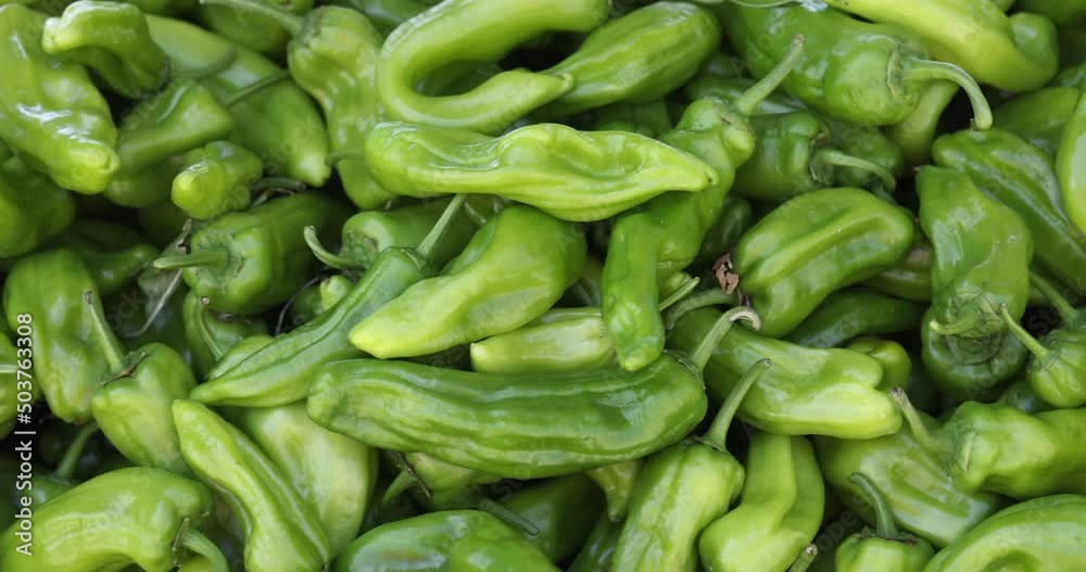 Bunch of green hot chili peppers Bunch of green hot chili peppers