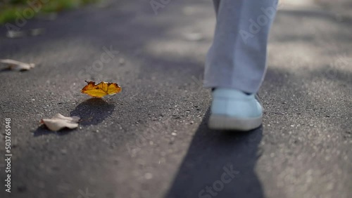 Detail of women legs in sneakers walking around the city on the sidewalk from behind