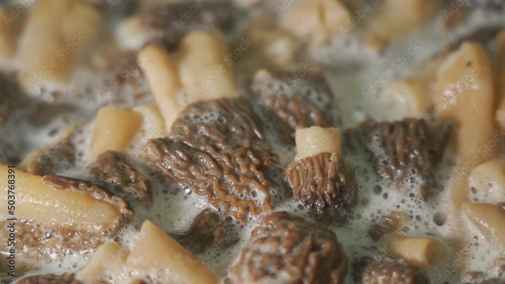 Morel mushrooms are cooked in a pot selective focus Morel mushrooms are cooked in a pot selective focus
