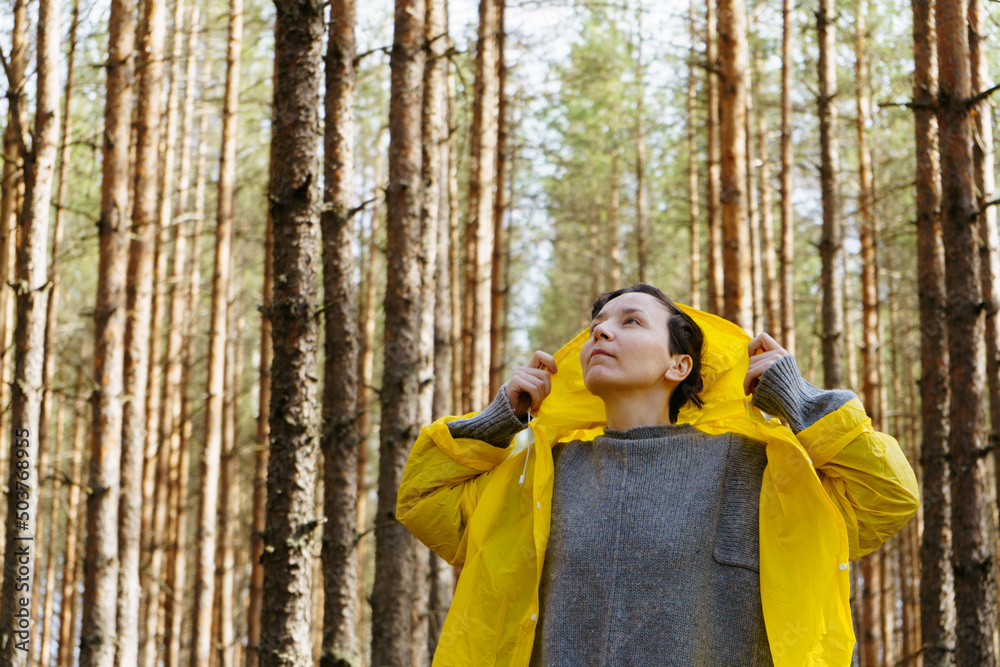 A young woman in a yellow raincoat stands in the middle of a pine forest and looks up A young woman in a yellow raincoat stands in the middle of a pine forest and looks up