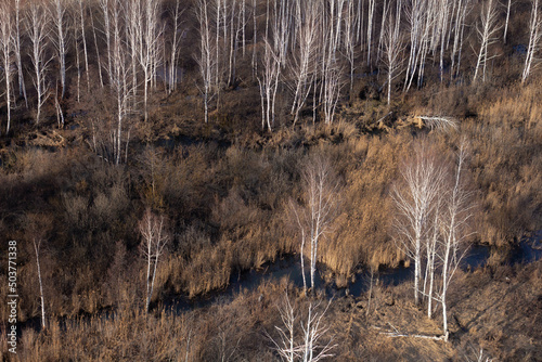 Lowland swamps from a bird's eye view. Nature of the Urals of Russia. photo