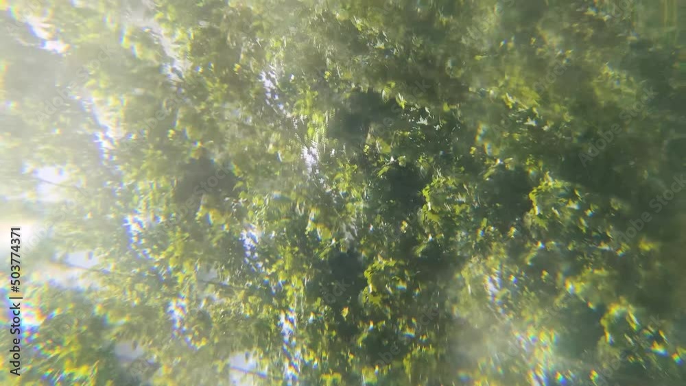 Artistic and dreamy kaleidoscope-style shot of trees on a bright sunny day