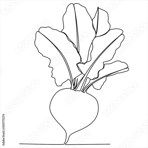 Continuous line drawing whole healthy organic beetroot for plantation logo identity. One line art of fresh garden beet plant concept for vegetable icon. Vector illustration
