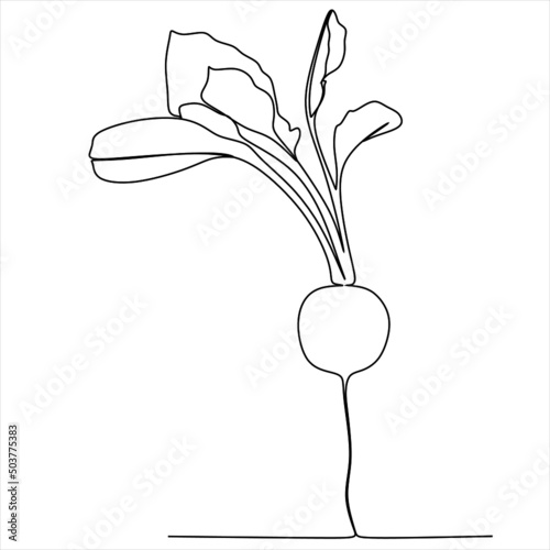 Continuous line drawing whole healthy organic beetroot for plantation logo identity. One line art of fresh garden beet plant concept for vegetable icon. Vector illustration
