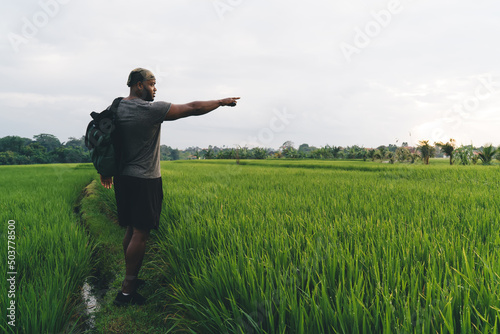 Side view of male agronomy with travel rucksack pointing at rice fields exploring international agriculture cultivation, African American tourist with backpack visiting greenery plantation
