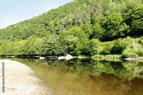 green nature of the River Semois, Belgium