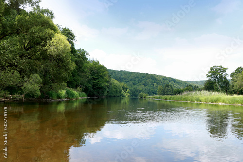 green nature of the River Semois  Belgium