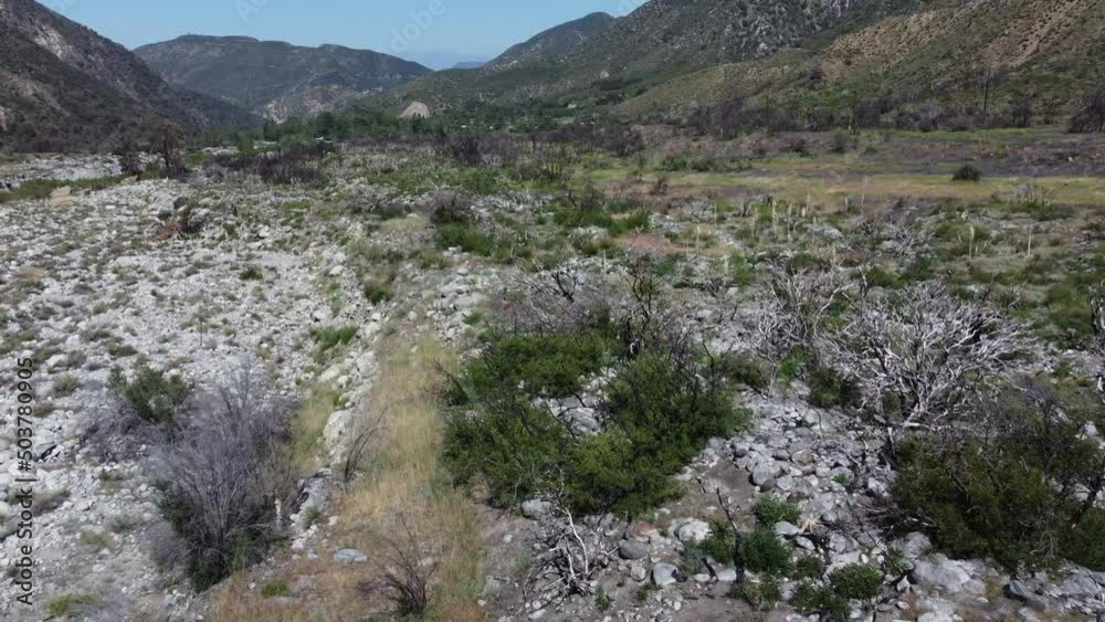 A UAV Drone Aerial Survey of the Mill Creek, California, Wildfire Scar Area in Natural Recovery looking at the Regrowth of Plants in the Area and the Dry Stream Bed from Drought A UAV Drone Aerial Survey of the Mill Creek, California, Wildfire Scar Area in Natural Recovery looking at the Regrowth of Plants in the Area and the Dry Stream Bed from Drought
