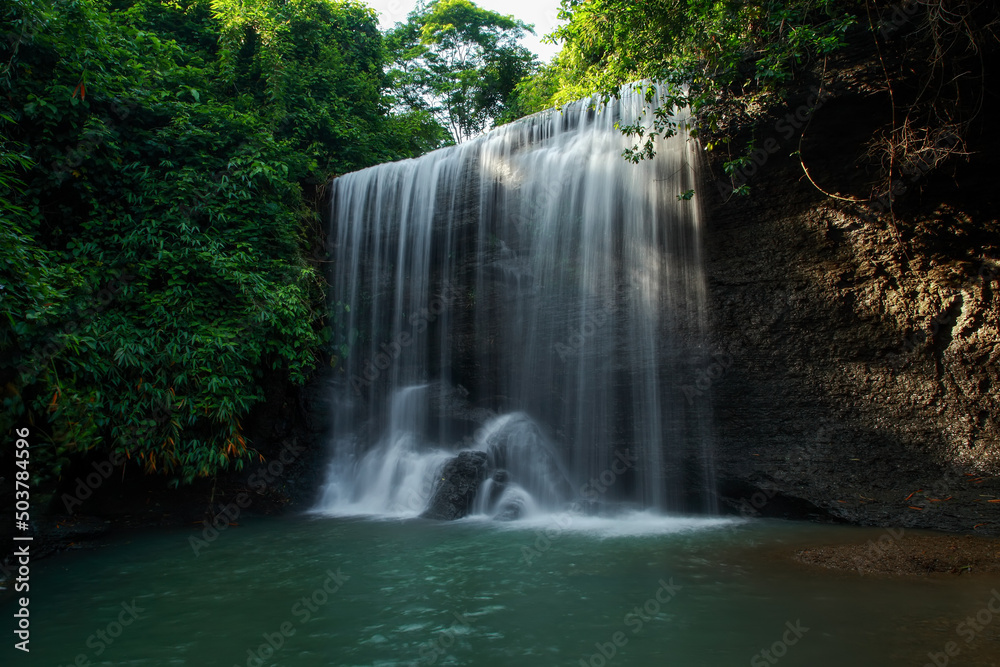 Fototapeta premium waterfall in the forest