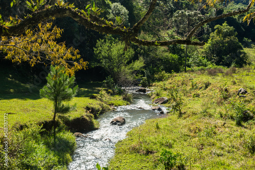 A creek in the countryside of Tres Coroas - Rio Grande do Sul  Brazil