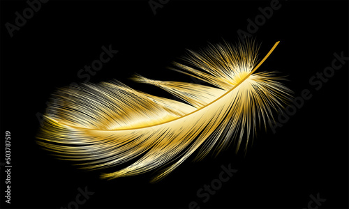 Gold feather isolated on black.Vector illustration.