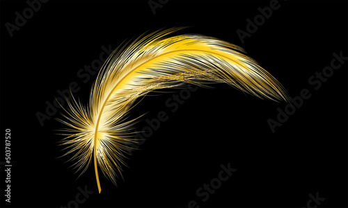 Gold feather isolated on black.Vector illustration.