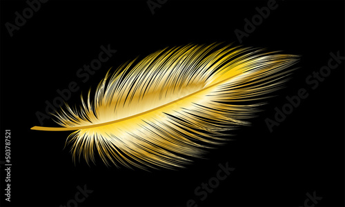 Gold feather isolated on black.Vector illustration.