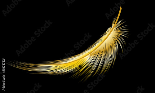 Gold feather isolated on black.Vector illustration.
