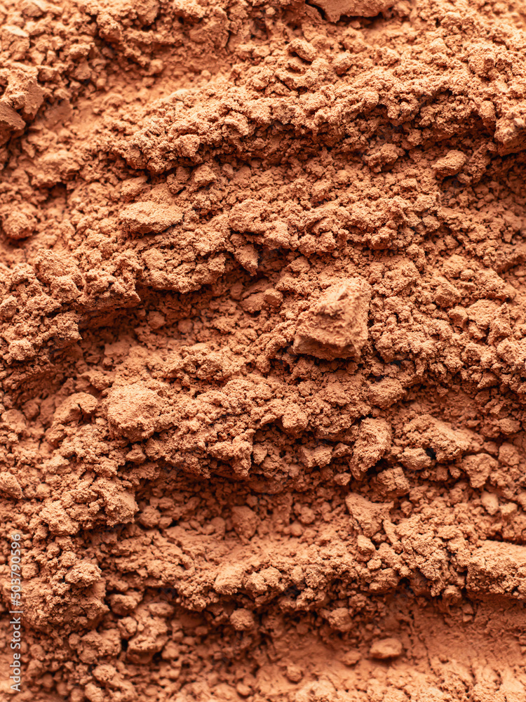 Ground Cinnamon texture background. Top view Ground Cinnamon texture background. Top view