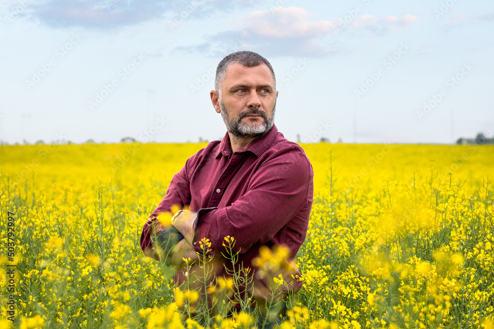 Middle age farmer standing in rapeseed field examining crop.
