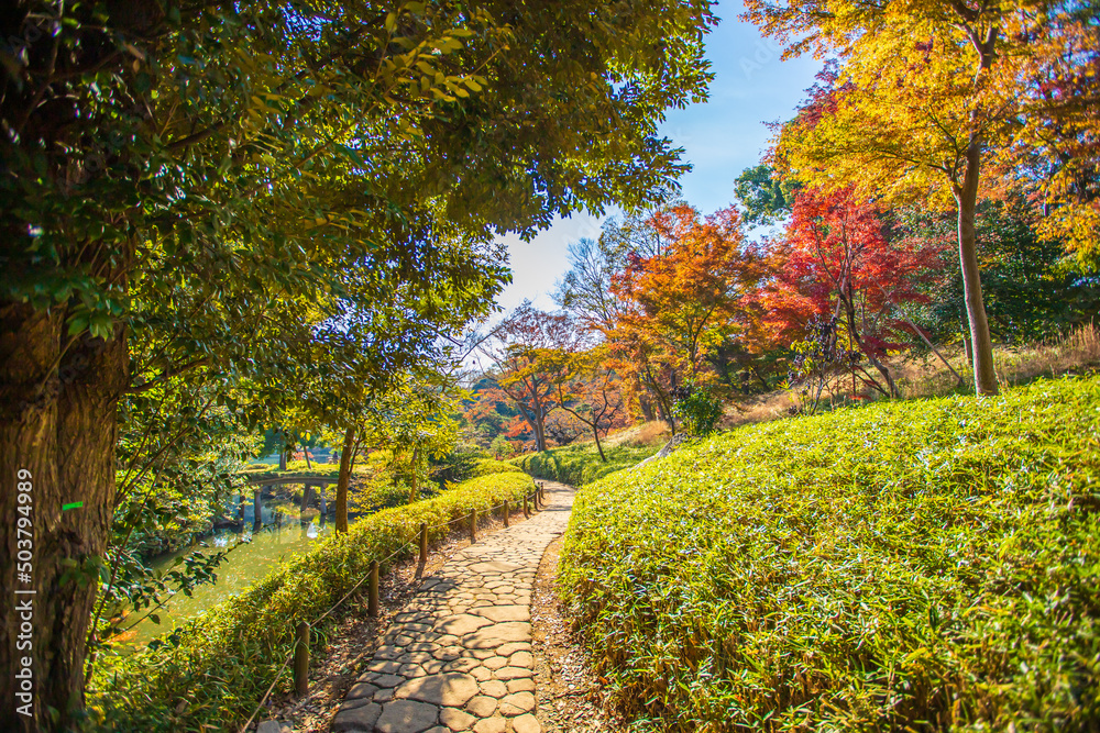 Naklejka premium 東京都 六義園の紅葉