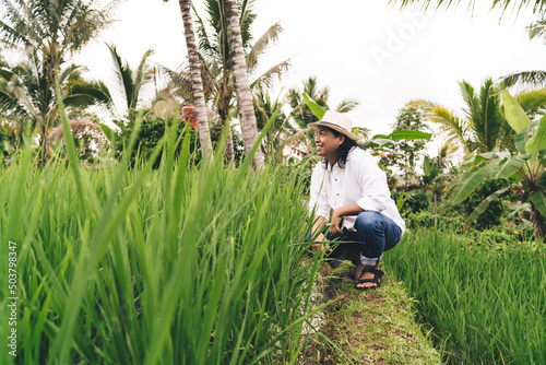 Happy male farmer sitting near rice fields and smiling during summer daytime in Indonesia, cheerful adult man enjoying own agriculture business with cultivate plantation for growing paddy in Vietnam