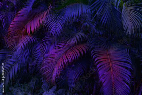 tropical palm leaves in neon light, exotic party background