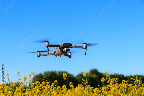 Drone flying in air over rapeseed field against blue sky in sunny day.