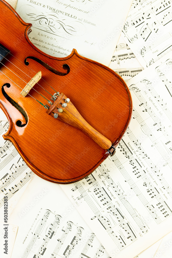 Naklejka premium violin and notes