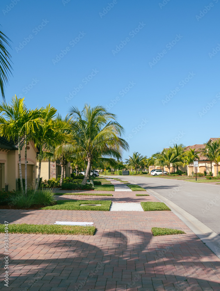 Obraz premium South Florida real estate background