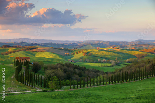 Typical Tuscany landscape with grain fields, cypress trees and houses on the hills at sunset. Summer rural landscape with curved road in Tuscany, Italy, Europe