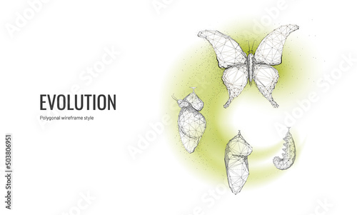 Butterfly life cycle in digital futuristic style. Insect life cycle, a transformation from caterpillar to butterfly. The concept of a successful startup or investment or business transformation
