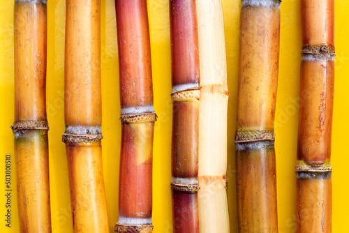 Sugar cane on yellow background.