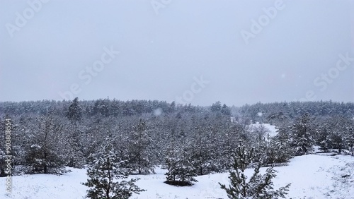 Wallpaper Mural winter landscape Torontodigital.ca