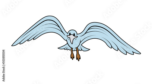 Flying Seagull White Background 