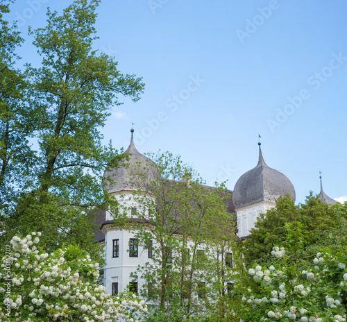 spring landscape with green trees, blooming viburnum and view to Schwindegg castle photo