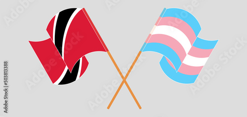 Crossed and waving flags of Trinidad and Tobago and Transgender Pride