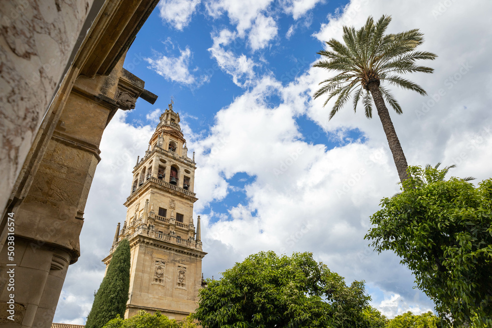 Cordoba s cathedral with a high palm tree and a blue sky very clouded
