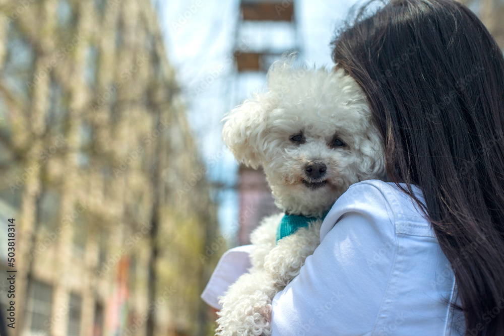 Brooklyn Portrait of Asian woman with toy poodle Brooklyn Portrait of Asian woman with toy poodle