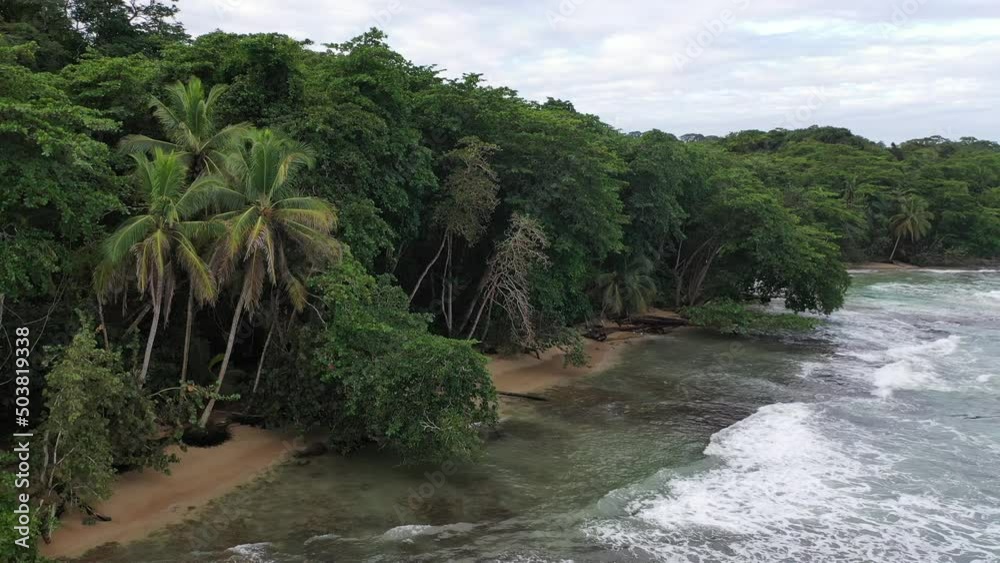 caribbean jungle near the sea from aerial point of view caribbean jungle near the sea from aerial point of view