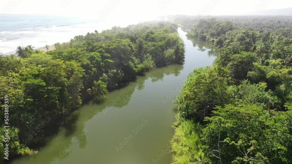 caribbean jungle near the sea from aerial point of view caribbean jungle near the sea from aerial point of view